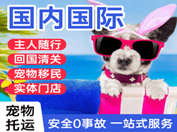 双流机场货运国际宠物托运 【国